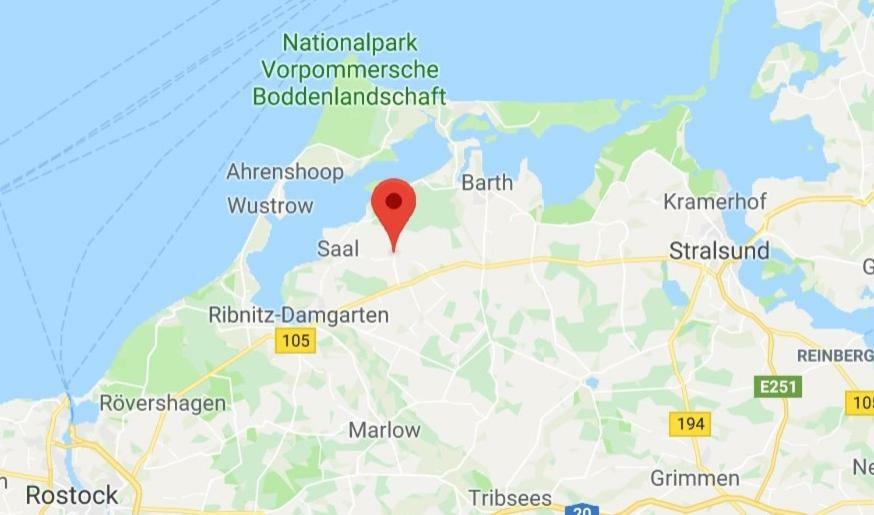An Den Tannen *